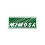 mimosa_new